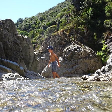 La Frigoule, Un Gite Au Coeur Du Parc Des Cevennes Generargues Esterno foto