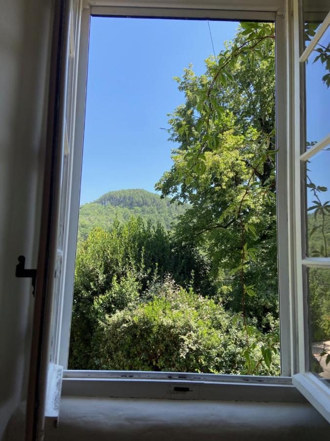 La Frigoule, Un Gite Au Coeur Du Parc Des Cevennes Generargues Esterno foto